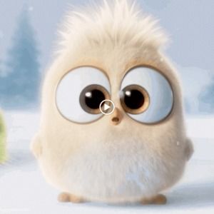 Meet your Posher, Aya